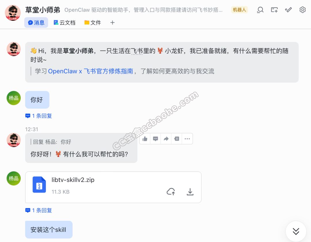 Skill安装界面